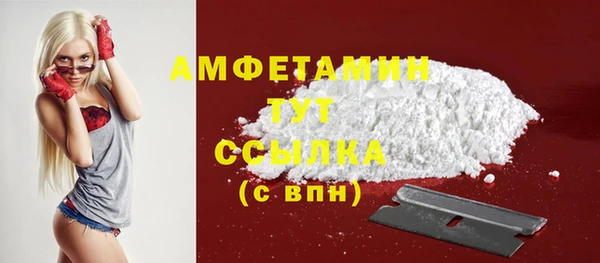 твердый Дмитриев
