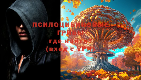 MDMA Дмитровск