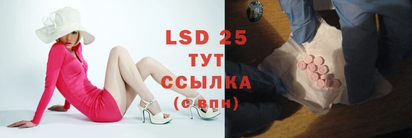 твердый Дмитриев
