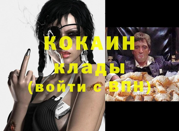 твердый Дмитриев