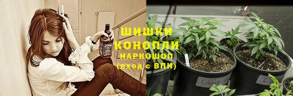 твердый Дмитриев
