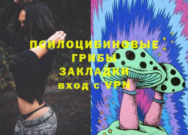 твердый Дмитриев
