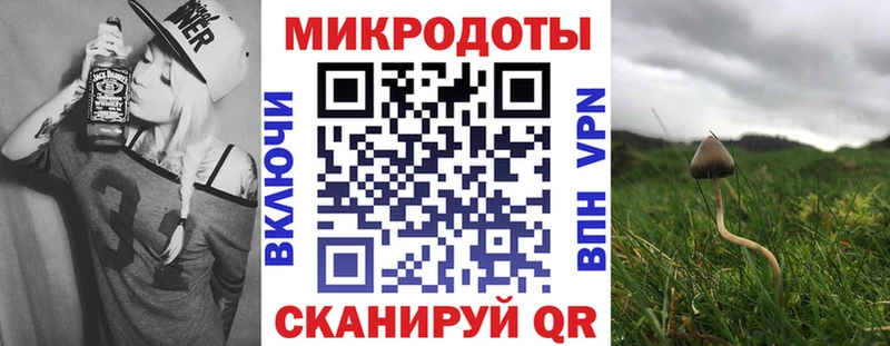 где купить наркоту Хотьково Псилоцибиновые грибы GOLDEN TEACHER